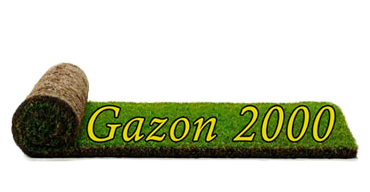 Gazon 2000