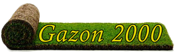 Gazon 2000